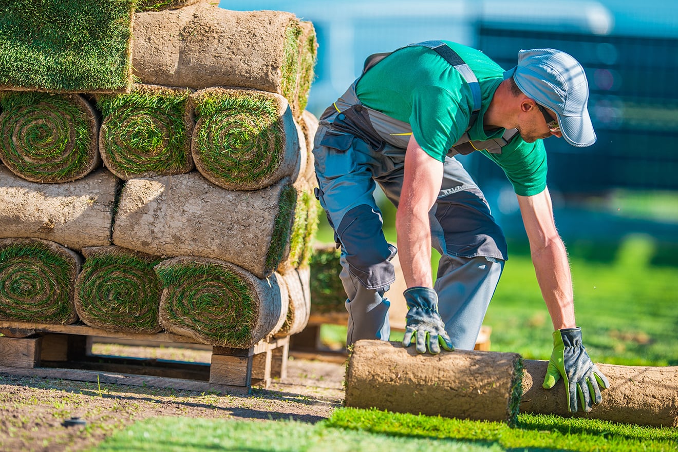 landscaping services